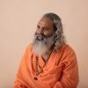 Swami Ananda Saraswati Yoga Vidya  - swamiananda / Pixabay