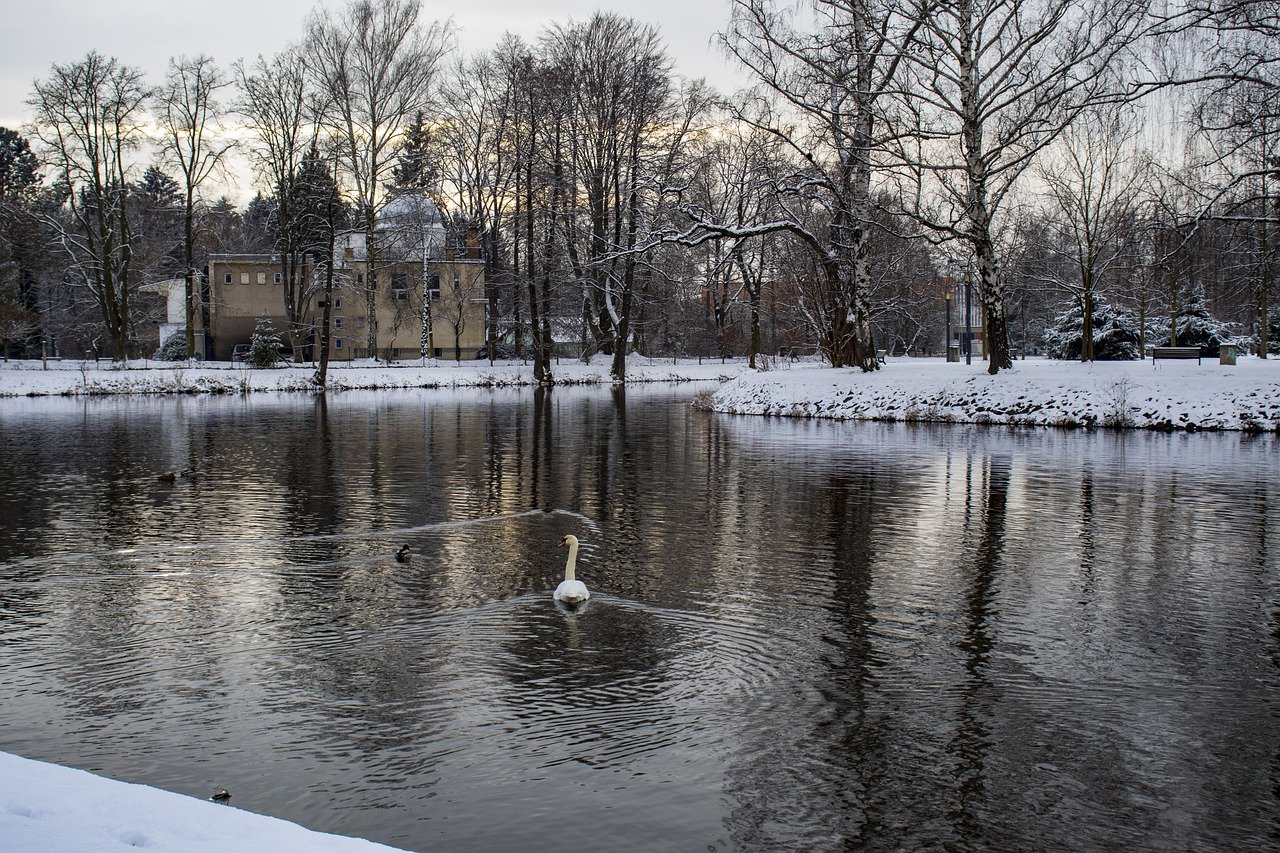 Swan River Winter Bank Snow Trees  - pourv / Pixabay