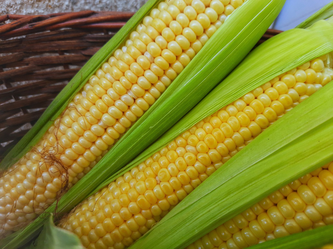 Sweet Corn Sweetcorn Corn  - hobim / Pixabay