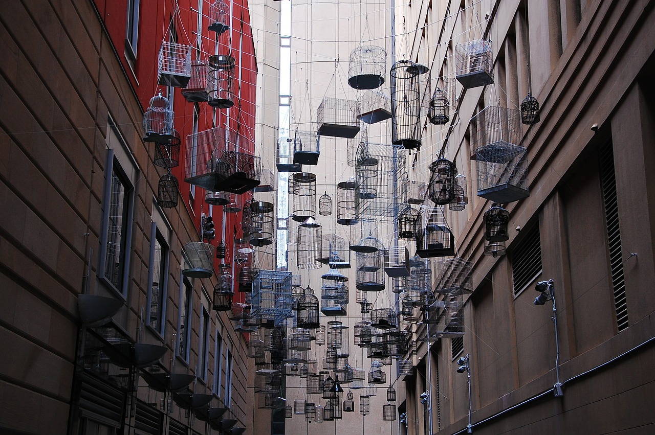 Sydney Birdcage Installation Art  - Schommartz / Pixabay