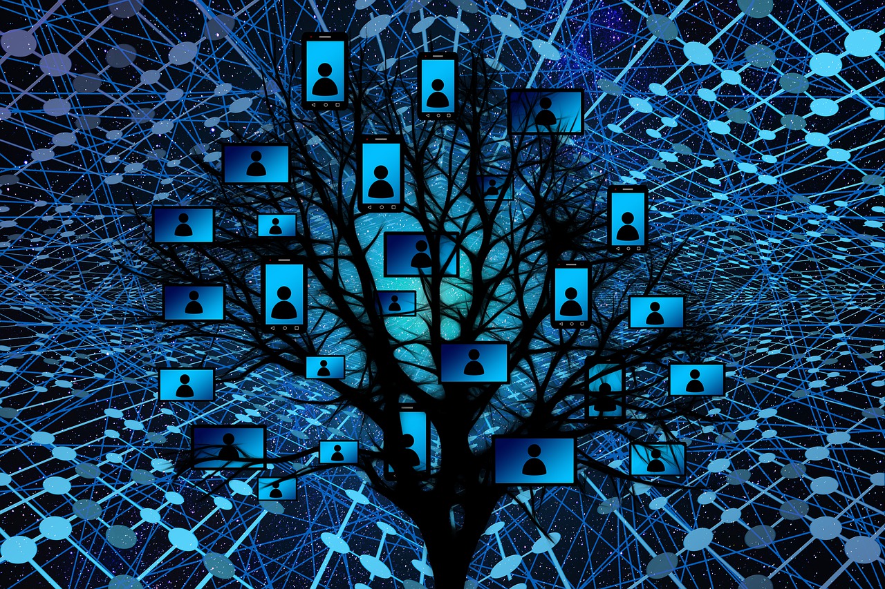 System Web Tree Branch News  - geralt / Pixabay