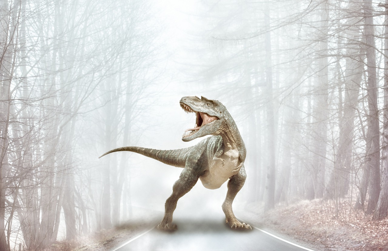 T Rex Dinosaur Prehistoric Road  - BiancavanDijk / Pixabay
