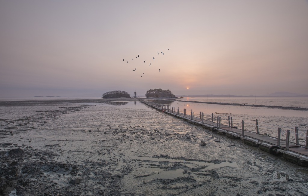Taian Ocean Sunrise China  - 강춘성 / Pixabay