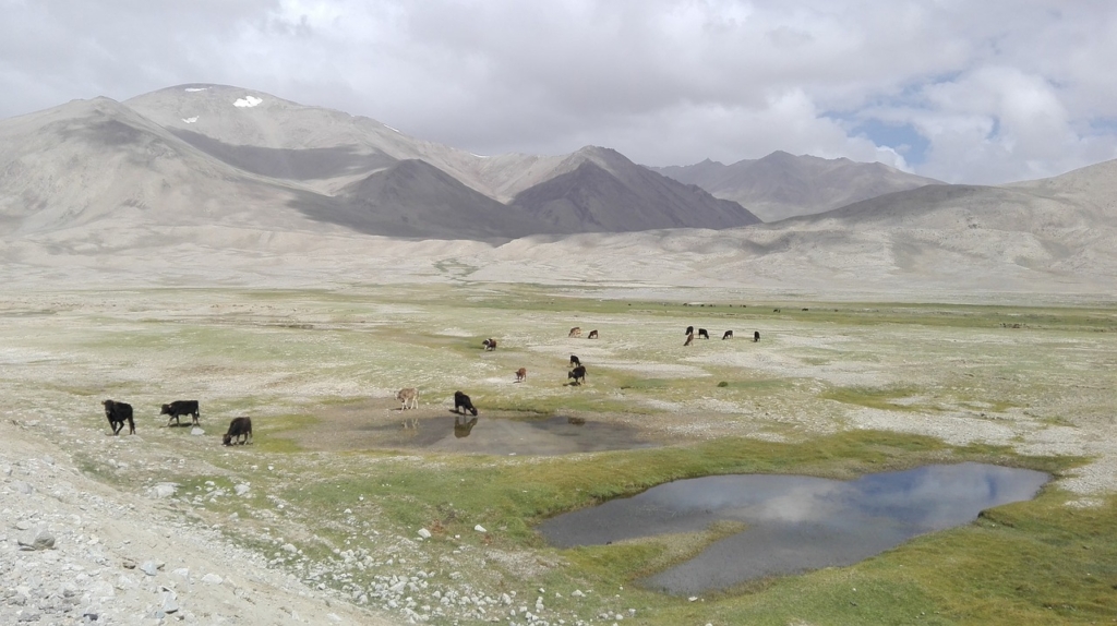 Tajikistan Pamir Mountains  - lolorun / Pixabay