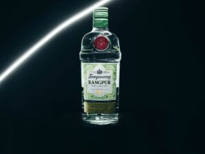 Tanqueray Gin Bottle Liquor  - tomkor / Pixabay