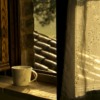 Tea Cup Window Relax Raindrops  - lorilorilo / Pixabay