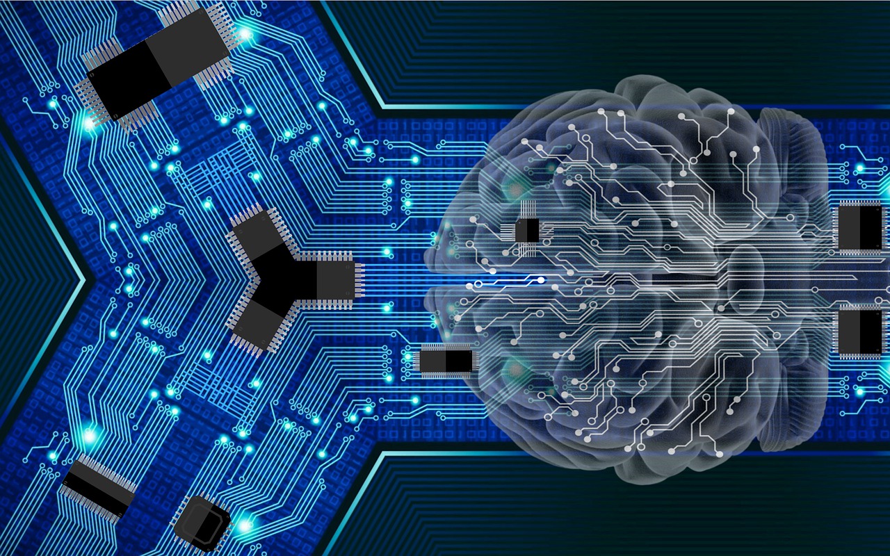 Technology Brain Circuit Board  - ParallelVision / Pixabay