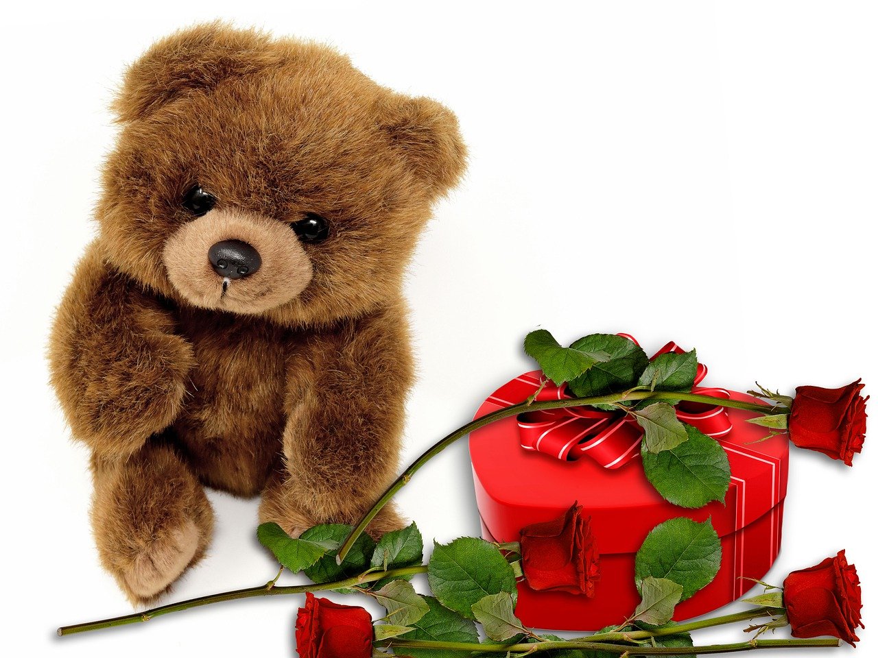 Teddy Bear Roses Gifts Plush  - susan-lu4esm / Pixabay