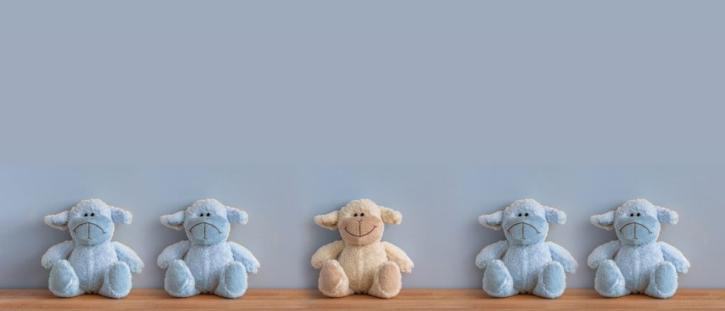 Teddy Bears Stuffed Animals Toys  - geralt / Pixabay