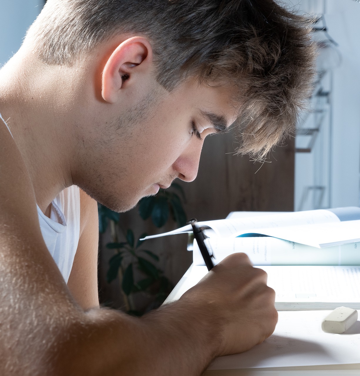 Teenager Student Studying Writing  - Alexandra_Koch / Pixabay