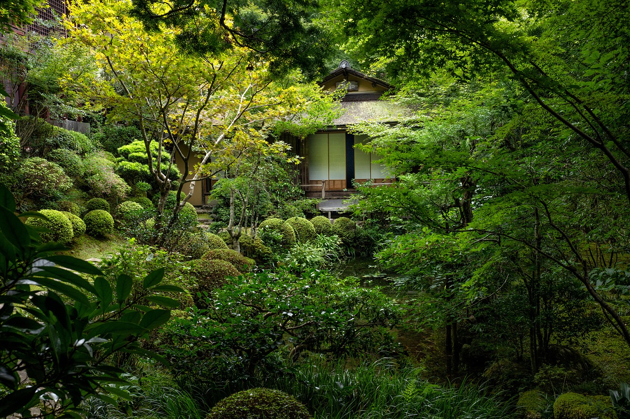 Temple Courtyard Wood Garden Pond  - KANENORI / Pixabay