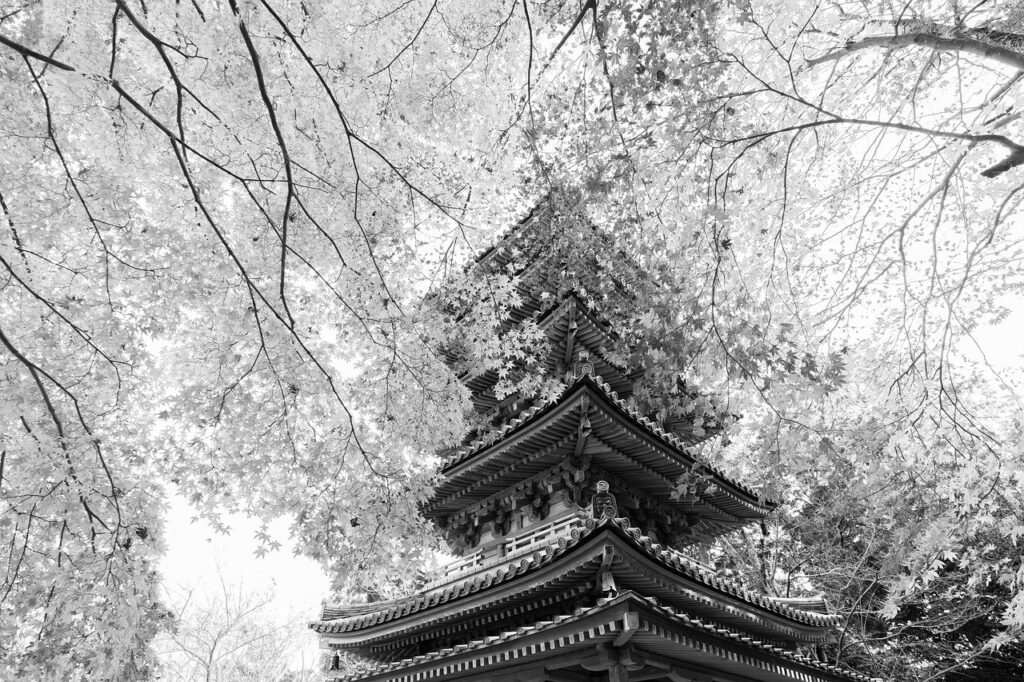 Temple Five Story Pagoda Pagoda  - KANENORI / Pixabay