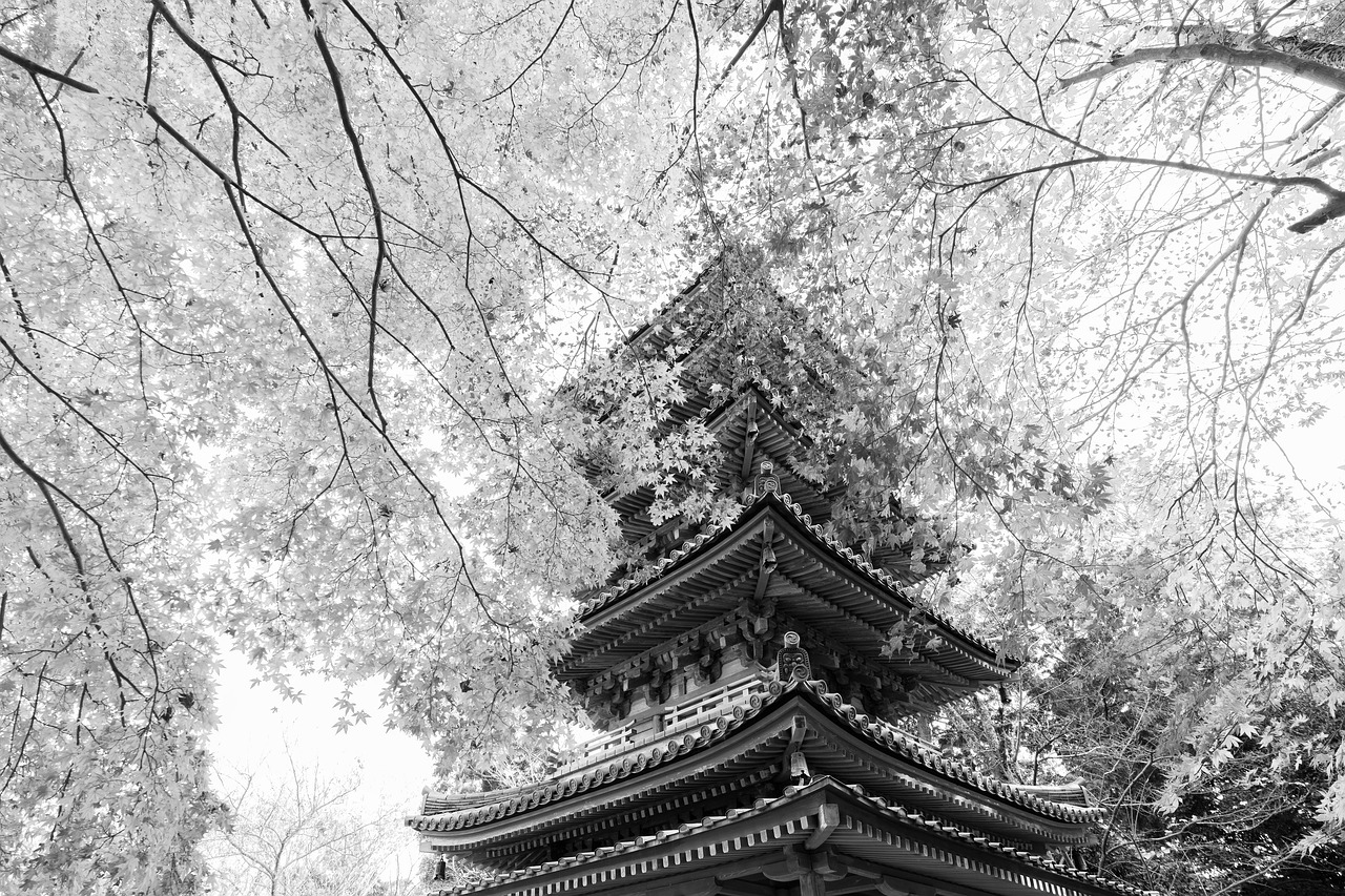 Temple Five Story Pagoda Pagoda  - Kanenori / Pixabay