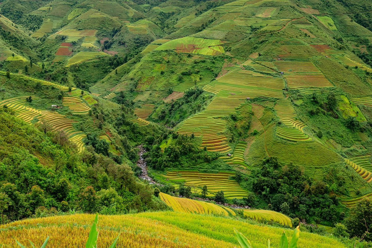 Terraces Rice Terraces Rice Paddies  - TranDuyet / Pixabay