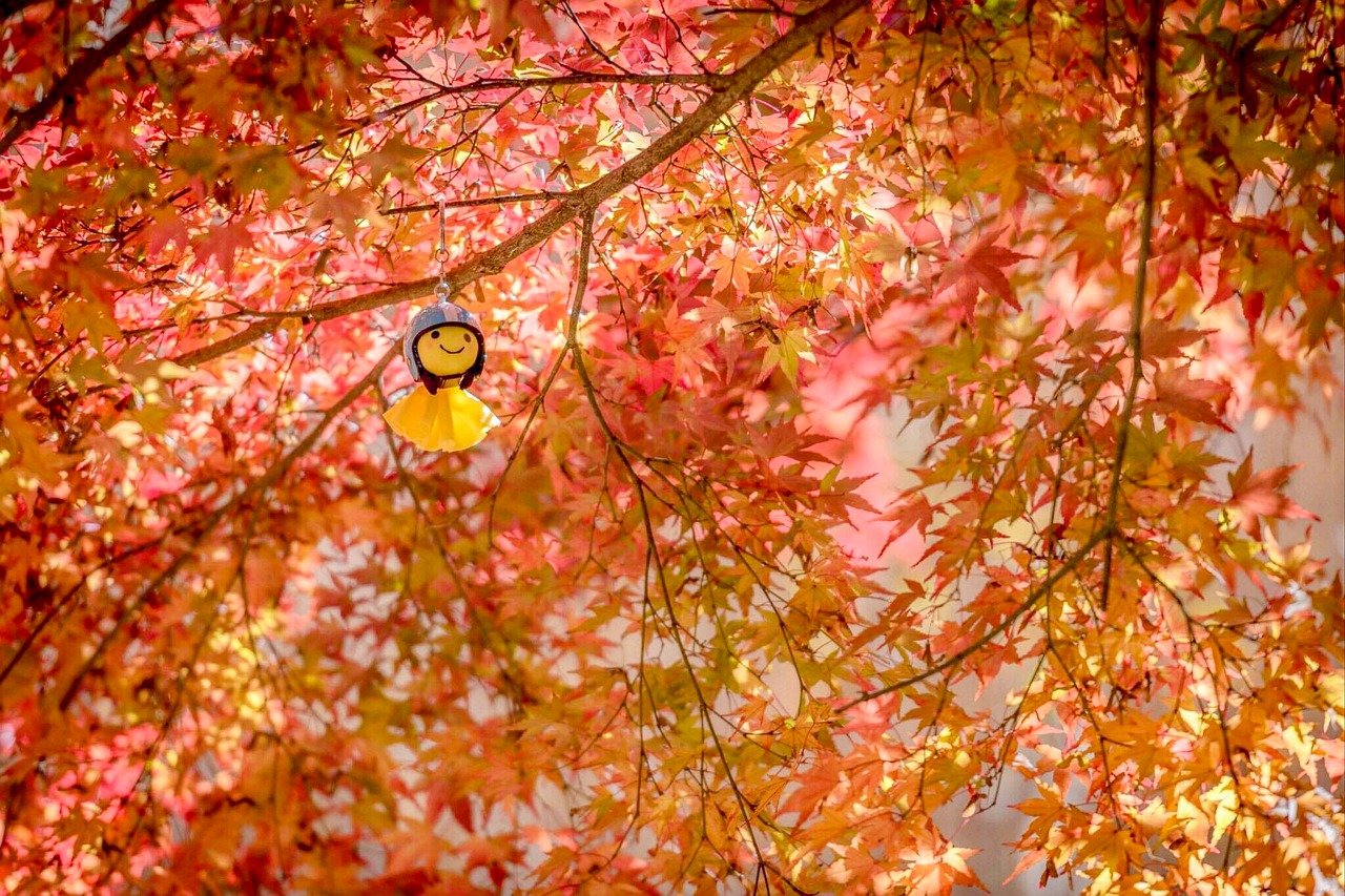 Teru Teru B%C%Dzu Rain Doll Maple  - morn_japan / Pixabay