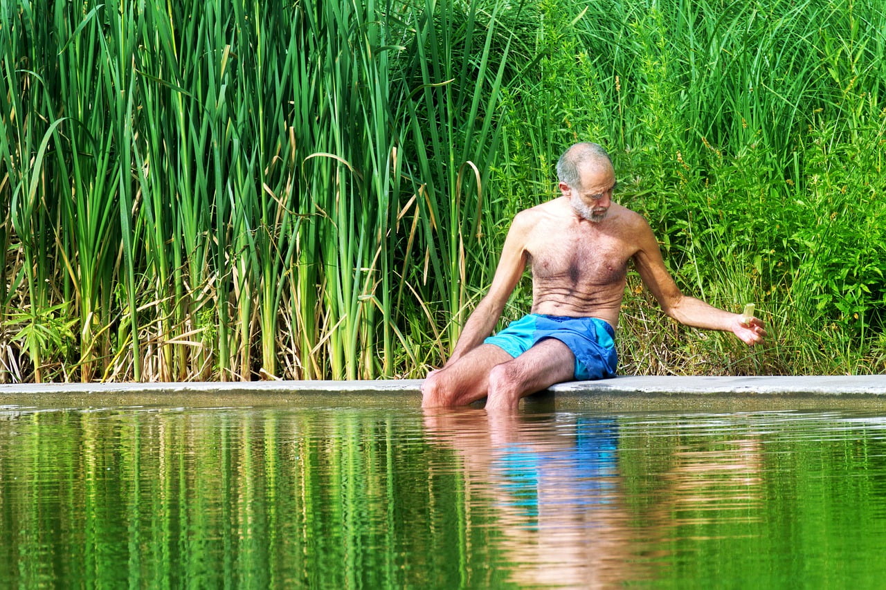 The Person Male The Old Man Care  - Candid_Shots / Pixabay