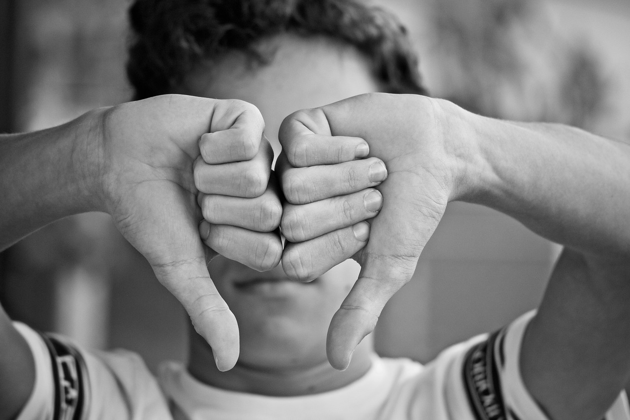 Thumbs Down Disapprove Gesture - sweetlouise / Pixabay