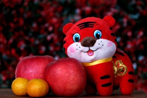 Tiger Doll Fruits Chinese New Year  - ignartonosbg / Pixabay