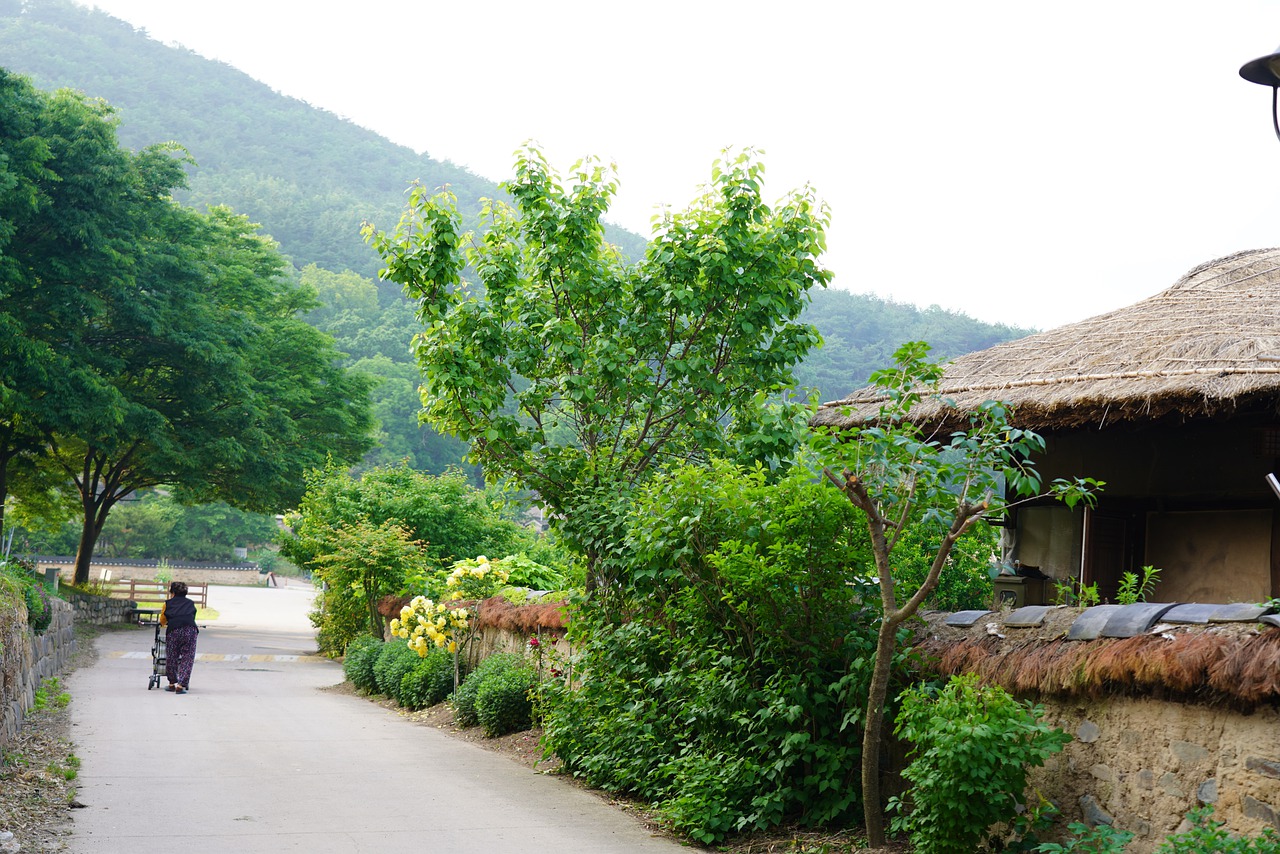 To Racing Hanok Republic Of Korea - ajs1980518 / Pixabay