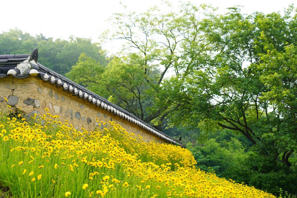 To Racing Hanok Republic Of Korea  - ajs1980518 / Pixabay