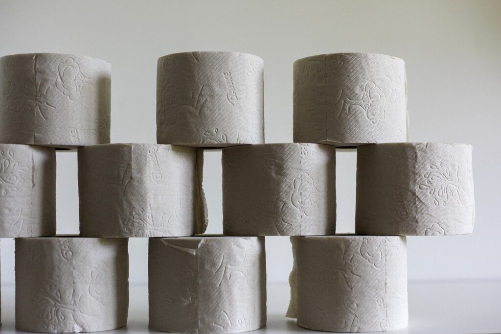 Toilet Paper Hygiene Toilet Role  - Jasmin_Sessler / Pixabay