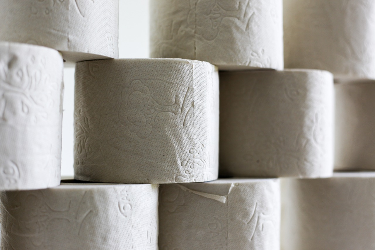 Toilet Paper Stack Hygiene Toilet - Jasmin_Sessler / Pixabay