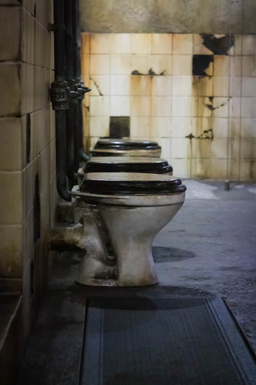 Toilets Dark Bathroom Dirty - C10Maj / Pixabay