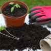 Tomato Plant Gardening Gloves  - neelam279 / Pixabay