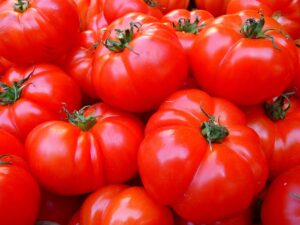 tomatoes fruit food red tomatoes 5356