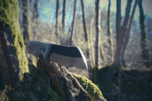 Tool Knife Cut Sharp Blade Forest  - Mikewildadventure / Pixabay