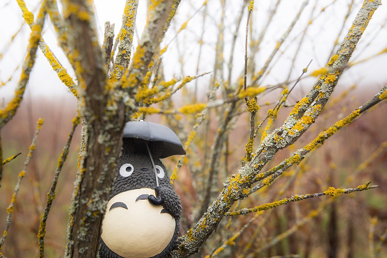 Totoro Nature Autumn Umbrella Toy  - mystraysoul / Pixabay