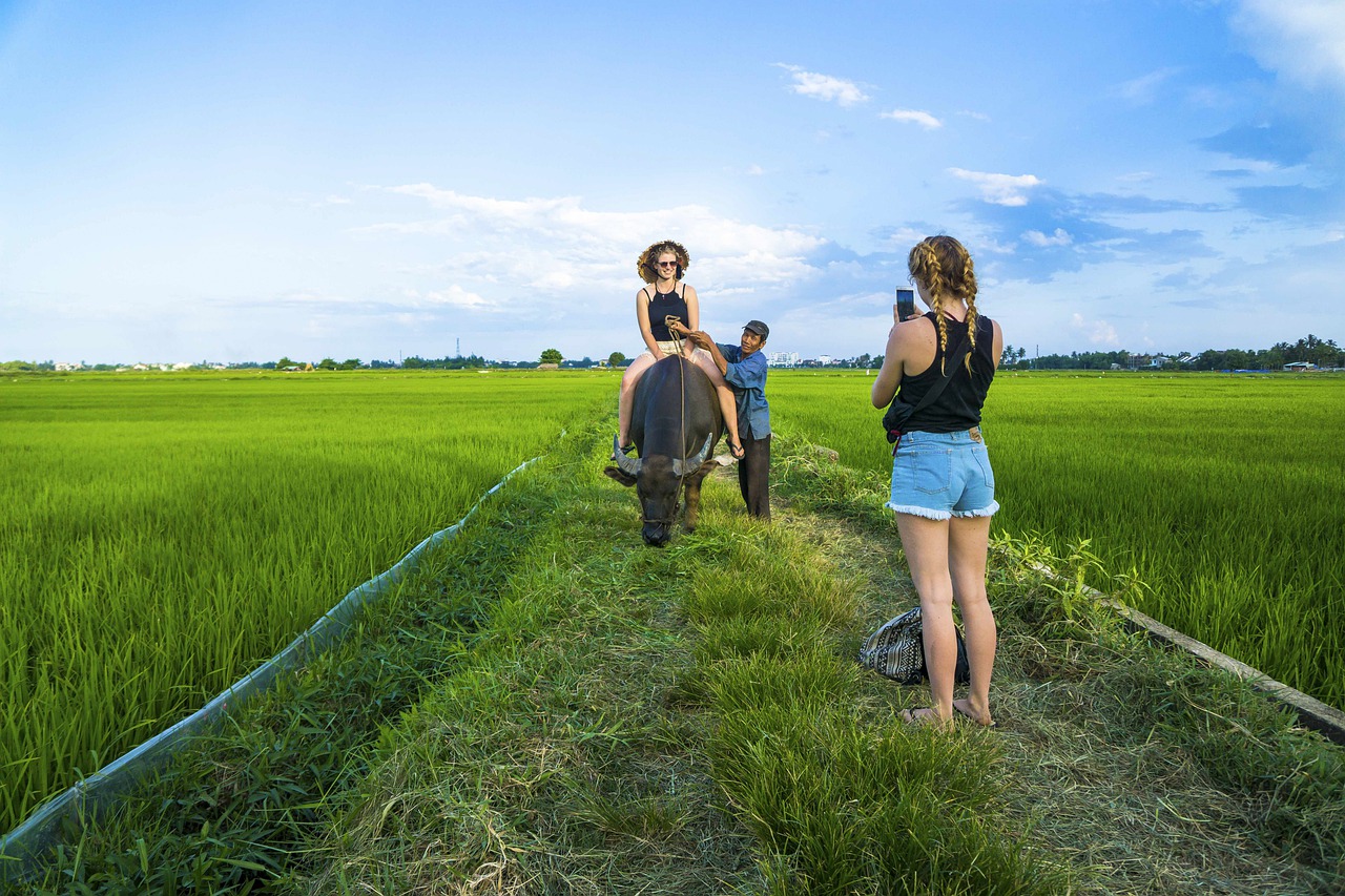 Tourists Women Buffalo Ride Riding  - trilemedia / Pixabay