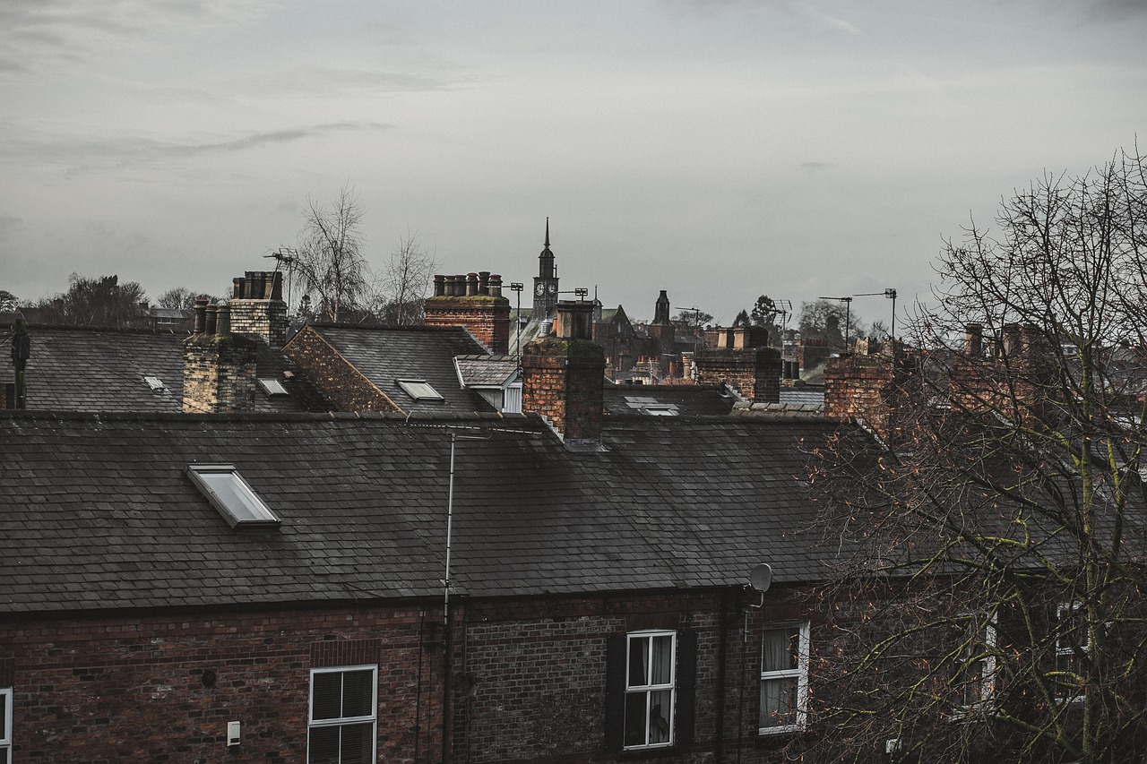 Town Houses Roofs Buildings  - eduardovieiraphoto / Pixabay