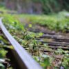 Track Railroad Tracks Train Old  - furbymama / Pixabay