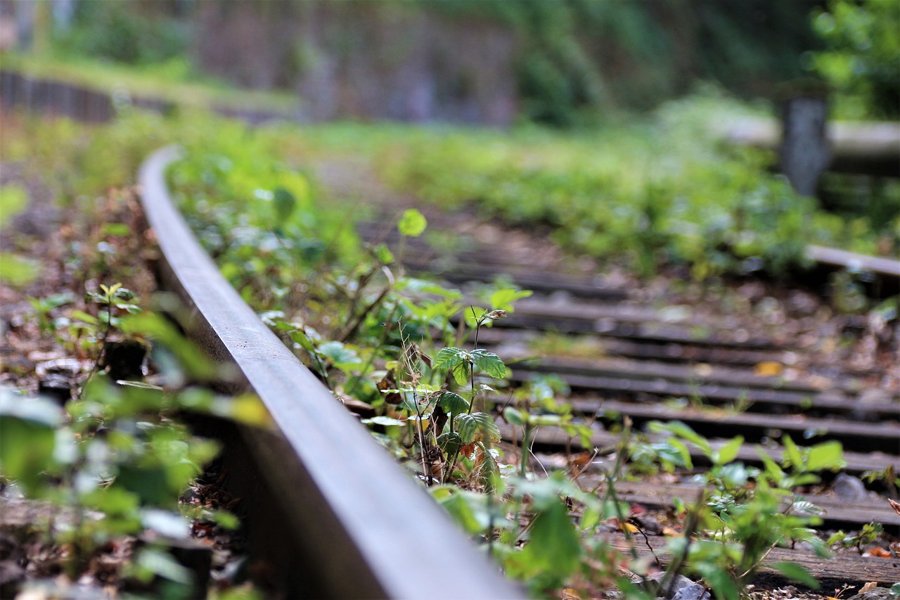 Track Railroad Tracks Train Old  - furbymama / Pixabay
