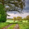 Trail Field Rural Trees Meadow  - fietzfotos / Pixabay