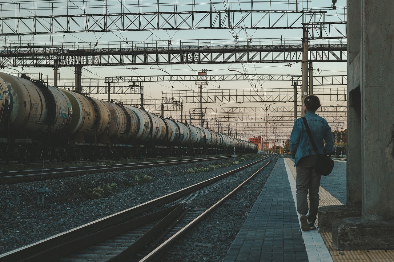 Train Railway Station Passenger  - vasiliygorshkov / Pixabay