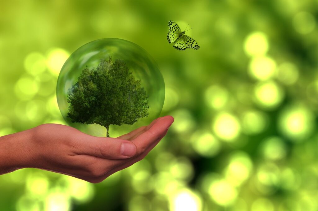 Tree Butterfly Globe Energy  - geralt / Pixabay
