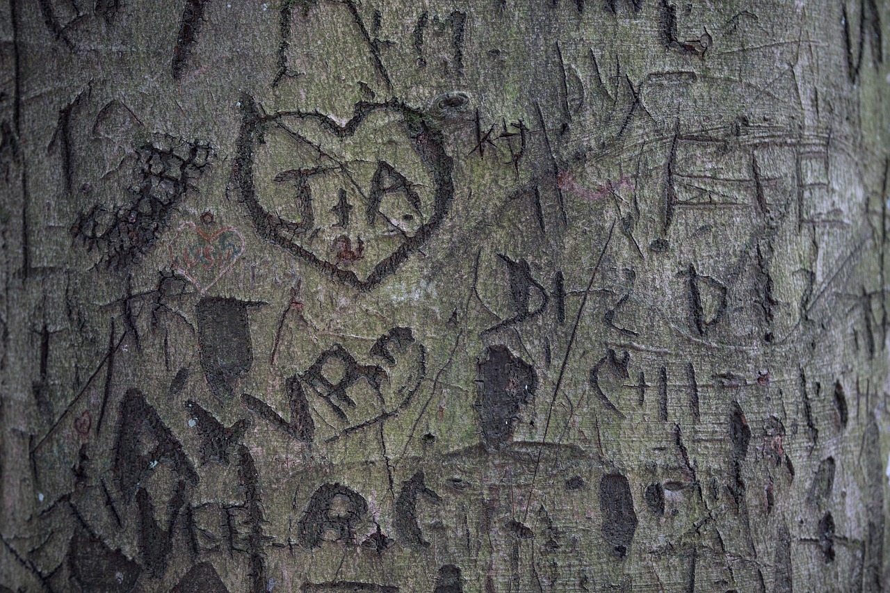 Tree Love Heart Valentine S Day  - R_Winkelmann / Pixabay