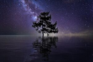 Tree Stars Lake Water Single Tree  - TheDigitalArtist / Pixabay