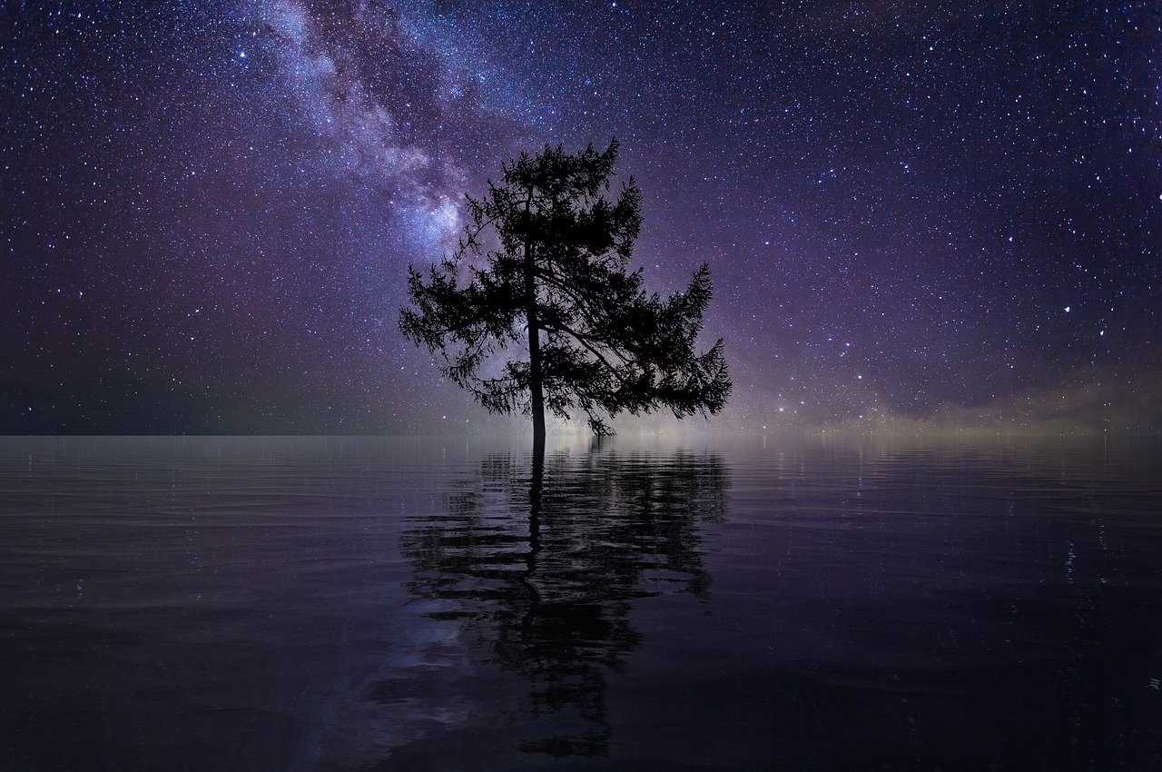 Tree Stars Lake Water Single Tree - TheDigitalArtist / Pixabay
