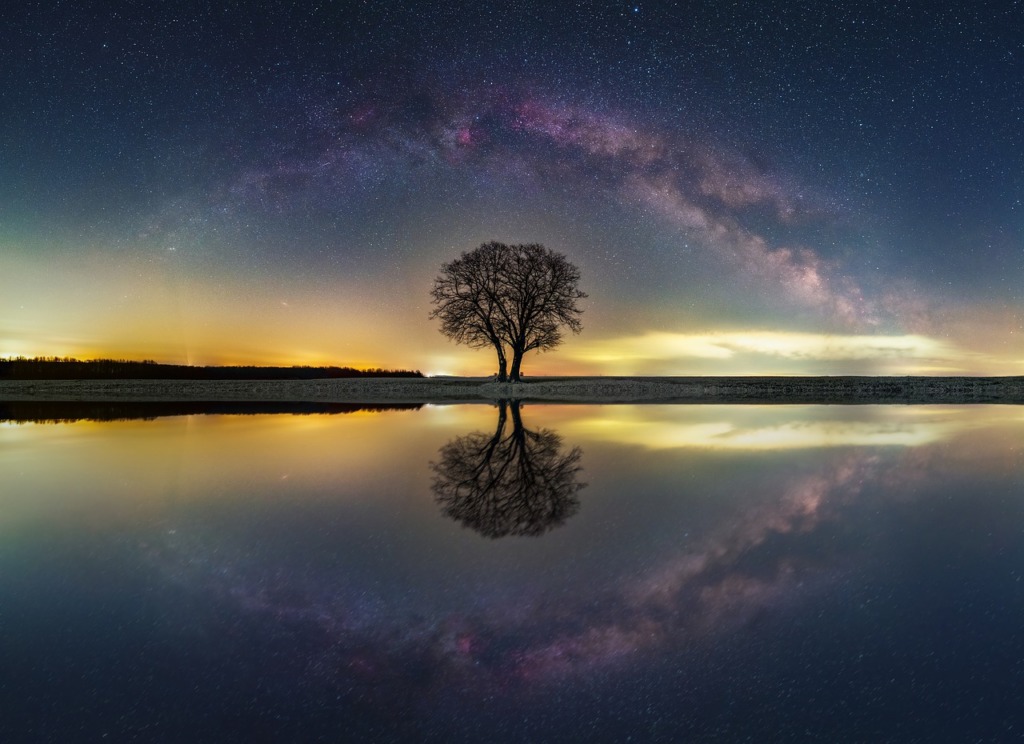 Tree Stars Universe Panorama Night  - EvgeniT / Pixabay