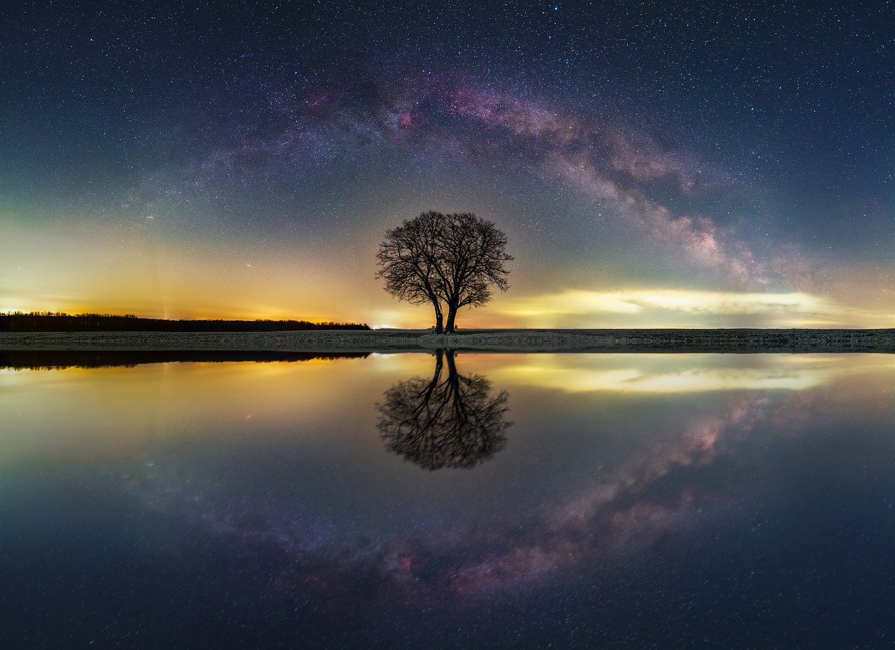 Tree Stars Universe Panorama Night - EvgeniT / Pixabay