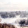 Trees River Fog Frost Snow  - Purgin_Alexandr / Pixabay