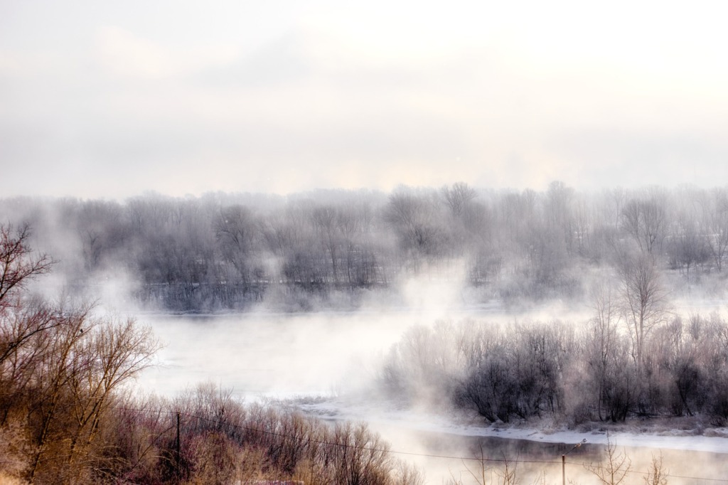 Trees River Fog Frost Snow  - Purgin_Alexandr / Pixabay