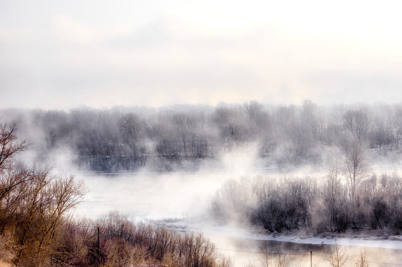 Trees River Fog Frost Snow - Purgin_Alexandr / Pixabay