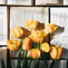 Tulips Flowers Books Read Page  - NastasyaDay / Pixabay
