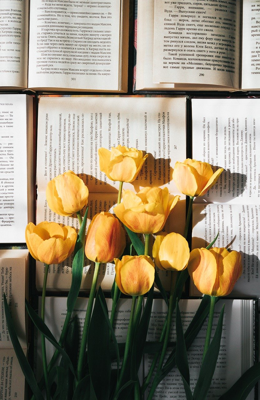 Tulips Flowers Books Read Page - NastasyaDay / Pixabay