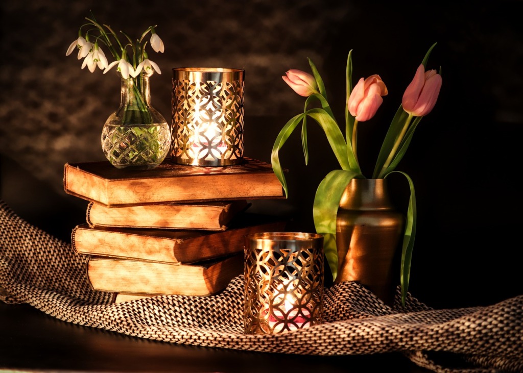 Tulips Snowdrop Books  - Lolame / Pixabay