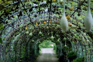 Tunnel Gourds Vegetables Garden  - YHBae / Pixabay
